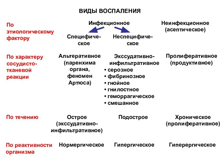 ВИДЫ ВОСПАЛЕНИЯ По этиологическому фактору Инфекционное Неинфекционное (асептическое) Специфиче-ское Неспецифиче-ское По