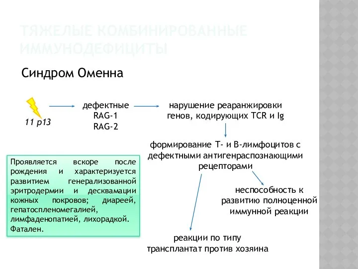 Синдром Оменна ТЯЖЕЛЫЕ КОМБИНИРОВАННЫЕ ИММУНОДЕФИЦИТЫ 11 p13 дефектные RAG-1 RAG-2 нарушение