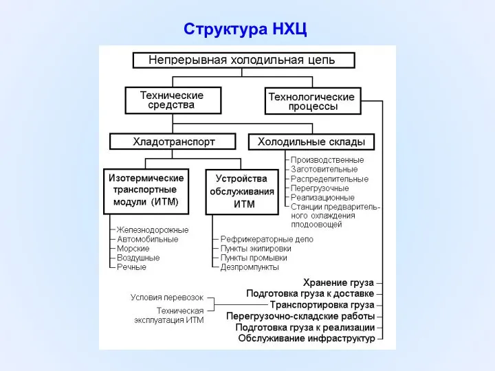 Структура НХЦ