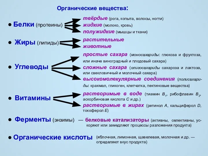 Органические вещества: ● Белки (протеины) ● Жиры (липиды) ● Углеводы ●