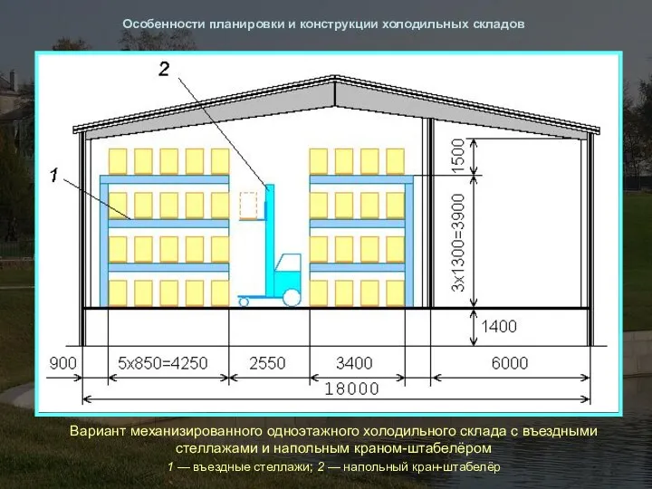 Особенности планировки и конструкции холодильных складов Вариант механизированного одноэтажного холодильного склада