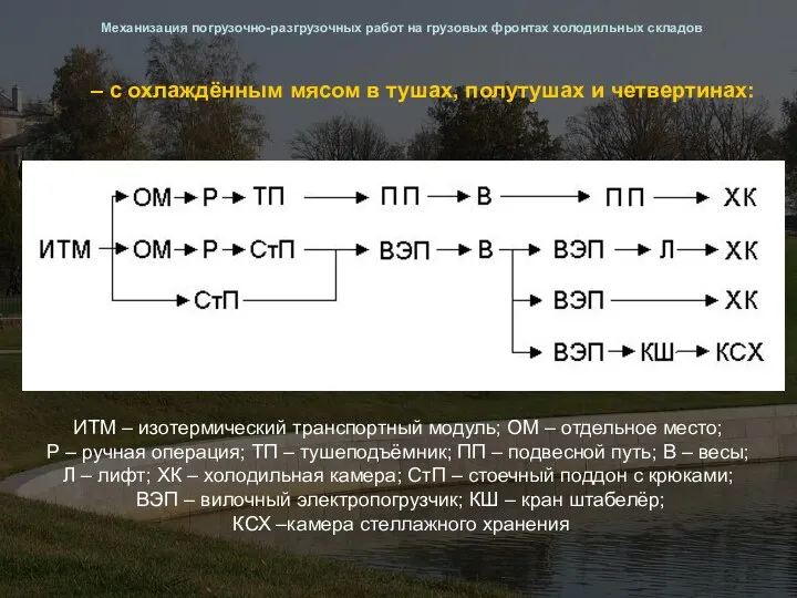 – с охлаждённым мясом в тушах, полутушах и четвертинах: Механизация погрузочно-разгрузочных