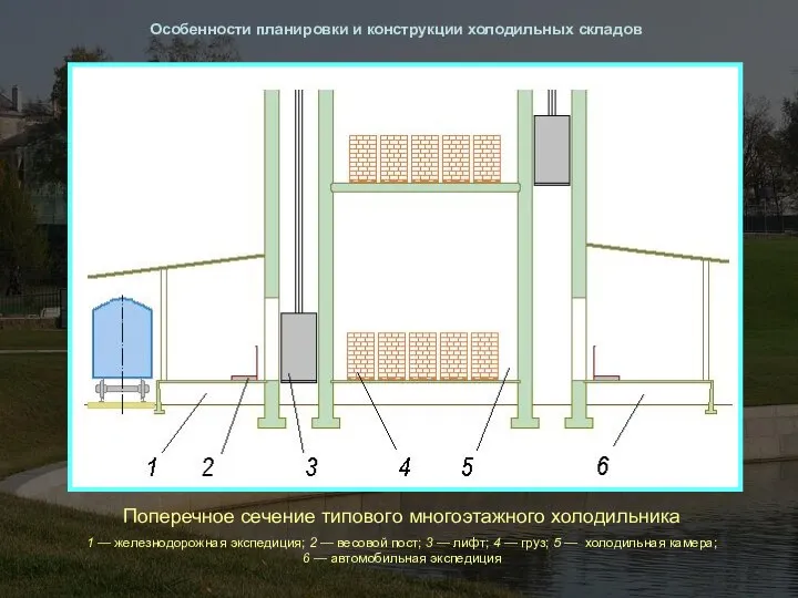 Особенности планировки и конструкции холодильных складов Поперечное сечение типового многоэтажного холодильника