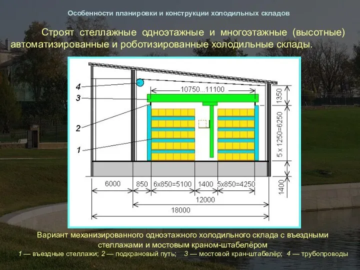 Особенности планировки и конструкции холодильных складов Строят стеллажные одноэтажные и многоэтажные