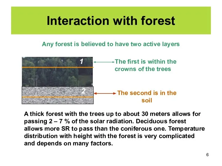 Interaction with forest Any forest is believed to have two active