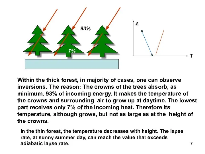 93% 7% T Z Within the thick forest, in majority of