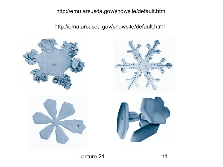 Lecture 21 http://emu.arsusda.gov/snowsite/default.html http://emu.arsusda.gov/snowsite/default.html