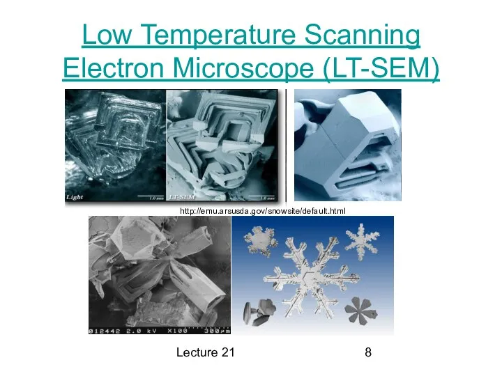 Lecture 21 Low Temperature Scanning Electron Microscope (LT-SEM) http://emu.arsusda.gov/snowsite/default.html