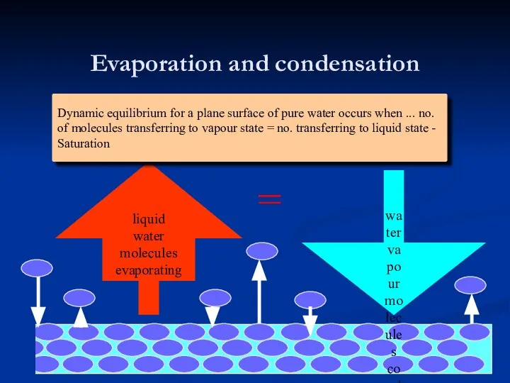 water vapour molecules condensing = Dynamic equilibrium for a plane surface