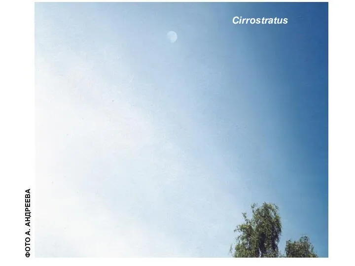 Cirrostratus