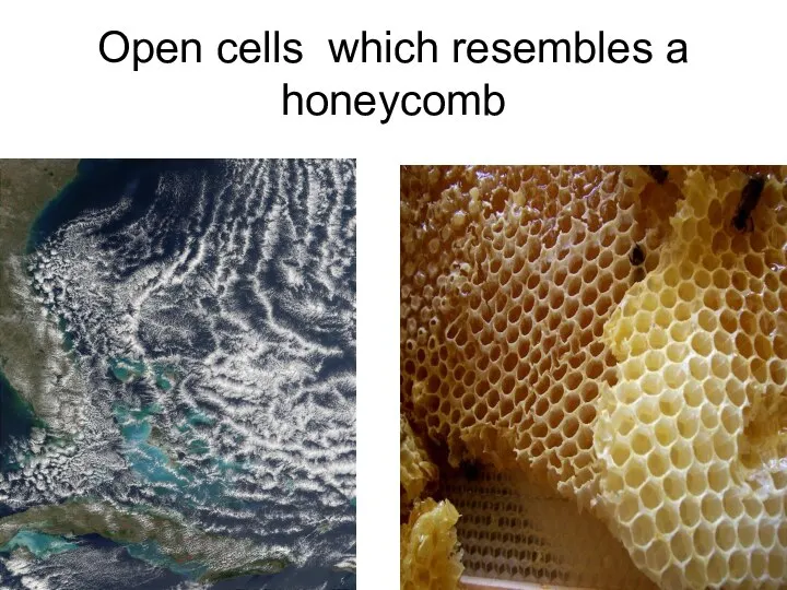 Open cells which resembles a honeycomb
