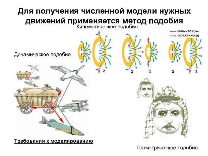 Для получения численной модели нужных движений применяется метод подобия Геометрическое подобие