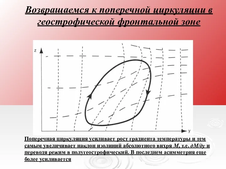 Возвращаемся к поперечной циркуляции в геострофической фронтальной зоне Поперечная циркуляция усиливает