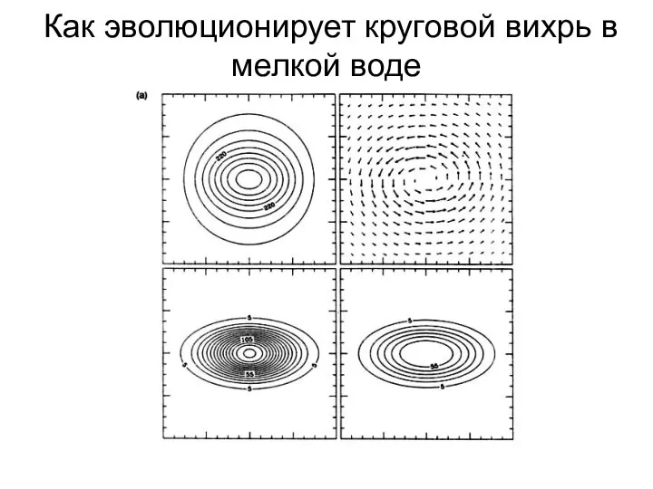 Как эволюционирует круговой вихрь в мелкой воде