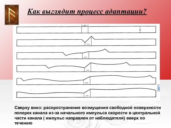 Как выглядит процесс адаптации? Сверху вниз: распространение возмущения свободной поверхности поперек