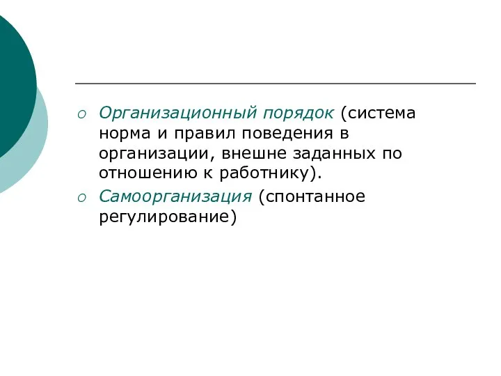 Организационный порядок (система норма и правил поведения в организации, внешне заданных