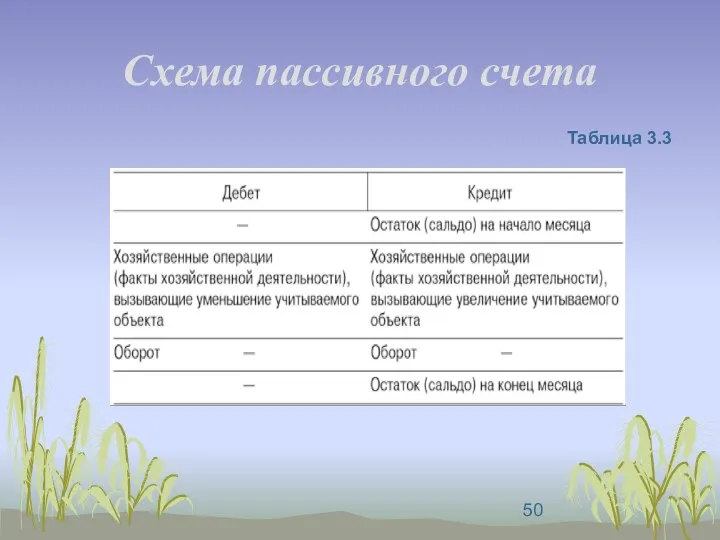 Схема пассивного счета Таблица 3.3