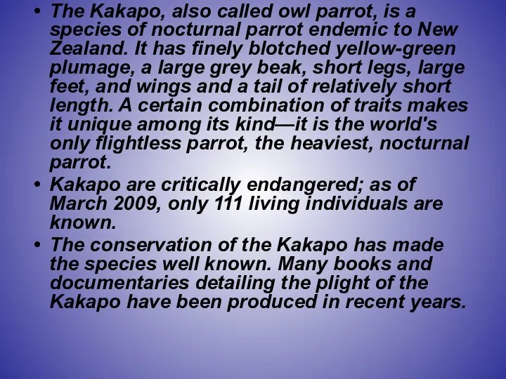 The Kakapo, also called owl parrot, is a species of nocturnal