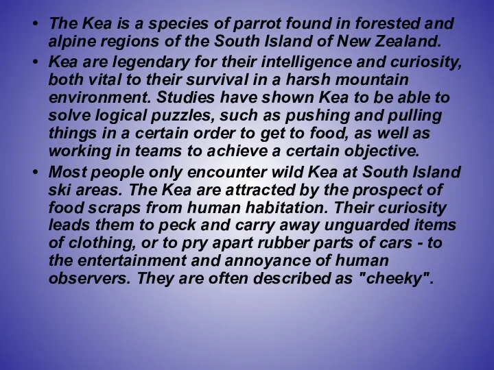 The Kea is a species of parrot found in forested and