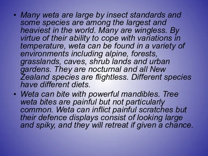 Many weta are large by insect standards and some species are