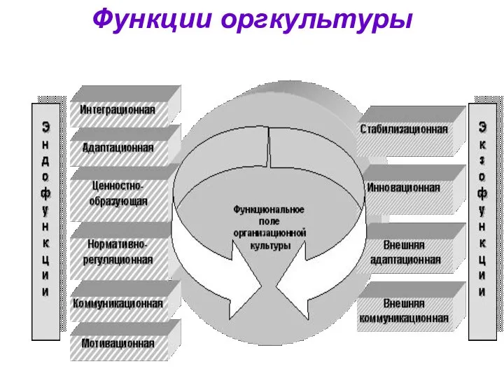 Функции оргкультуры