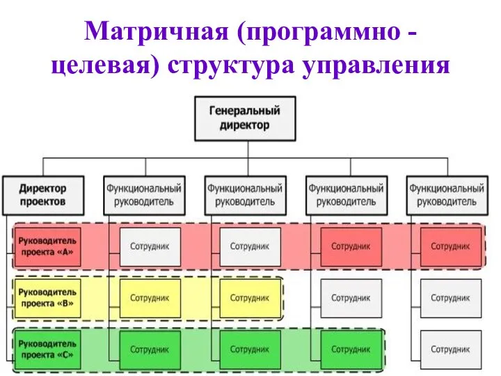 Матричная (программно - целевая) структура управления