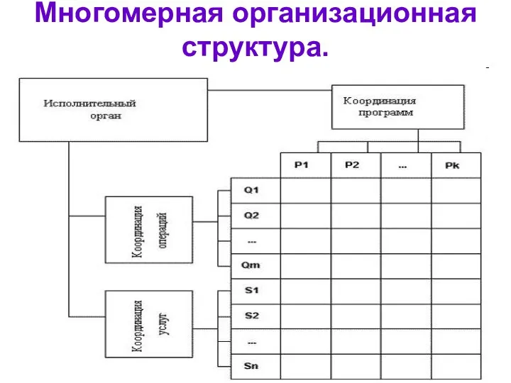 Многомерная организационная структура.