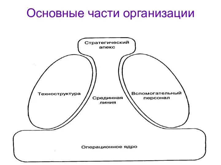 Основные части организации