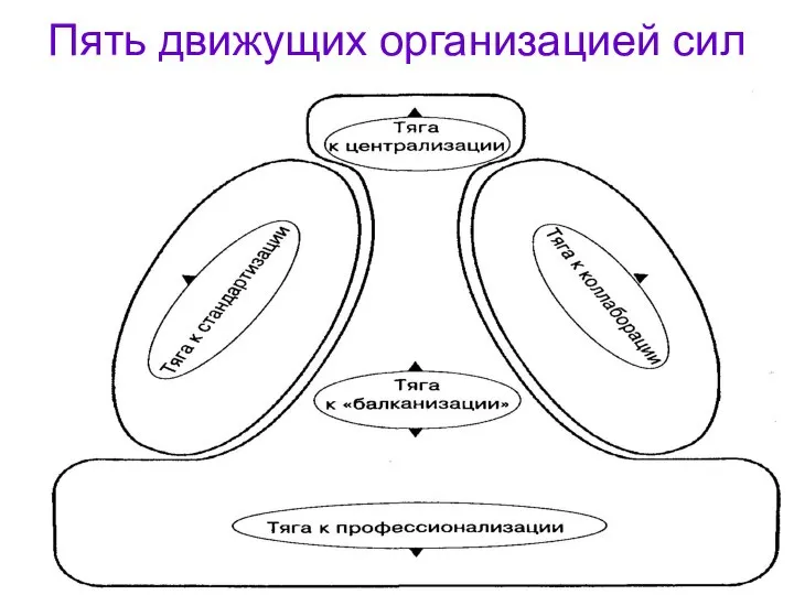 Пять движущих организацией сил