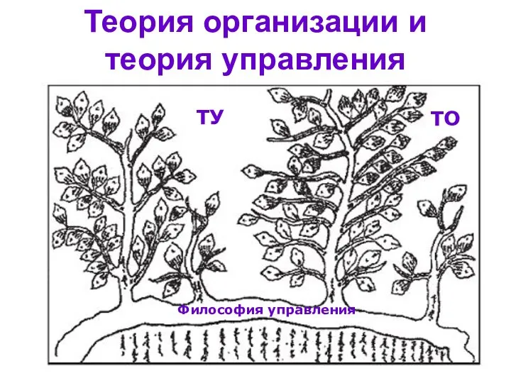 Теория организации и теория управления ТУ ТО Философия управления