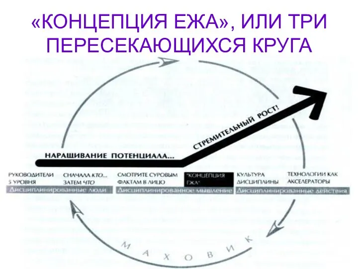 «КОНЦЕПЦИЯ ЕЖА», ИЛИ ТРИ ПЕРЕСЕКАЮЩИХСЯ КРУГА