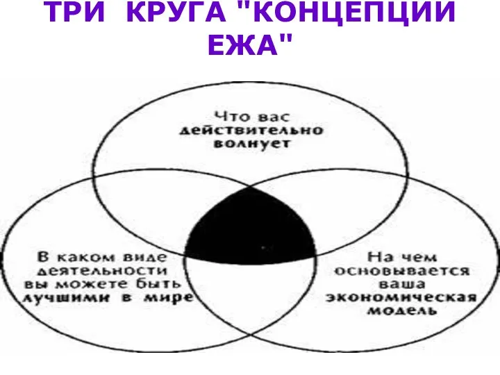 ТРИ КРУГА "КОНЦЕПЦИИ ЕЖА"