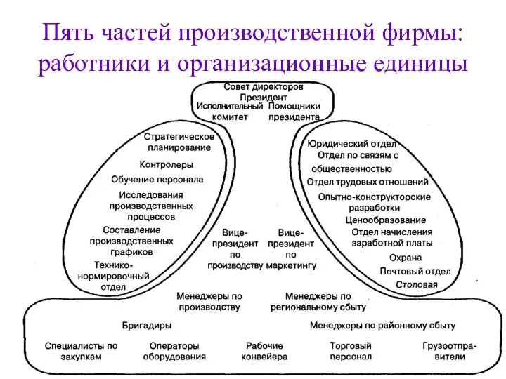 Пять частей производственной фирмы: работники и организационные единицы