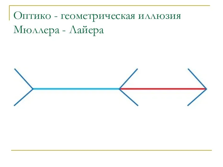 Оптико - геометрическая иллюзия Мюллера - Лайера