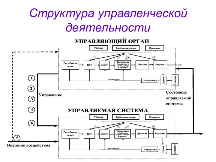 Структура управленческой деятельности