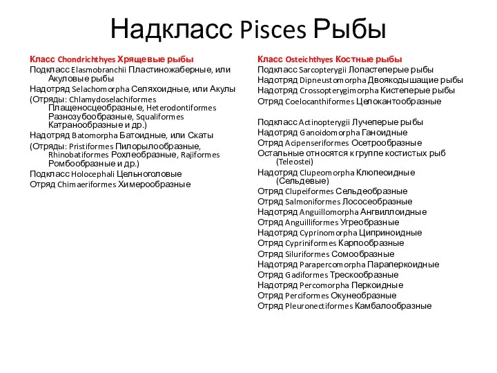 Надкласс Pisces Рыбы Класс Chondrichthyes Хрящевые рыбы Подкласс Elasmobranchii Пластиножаберные, или