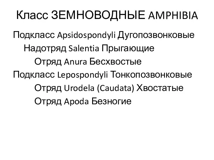 Класс ЗЕМНОВОДНЫЕ AMPHIBIA Подкласс Apsidospondyli Дугопозвонковые Надотряд Salentia Прыгающие Отряд Anura