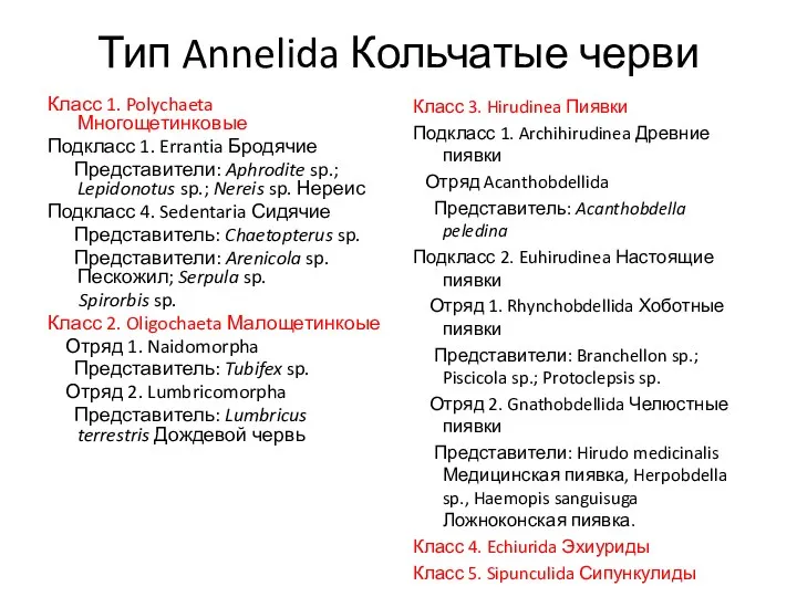 Тип Annelida Кольчатые черви Класс 1. Polychaeta Многощетинковые Подкласс 1. Errantia