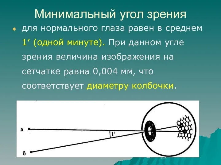 Минимальный угол зрения для нормального глаза равен в среднем 1′ (одной