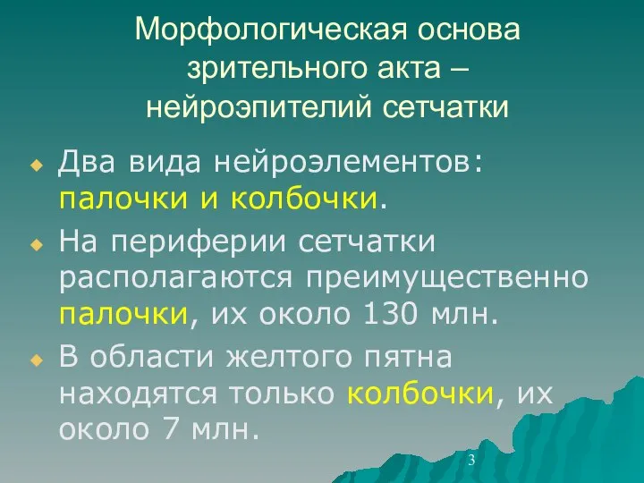 Морфологическая основа зрительного акта – нейроэпителий сетчатки Два вида нейроэлементов: палочки