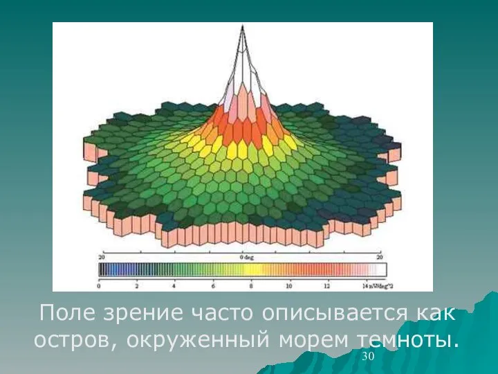 Поле зрение часто описывается как остров, окруженный морем темноты.