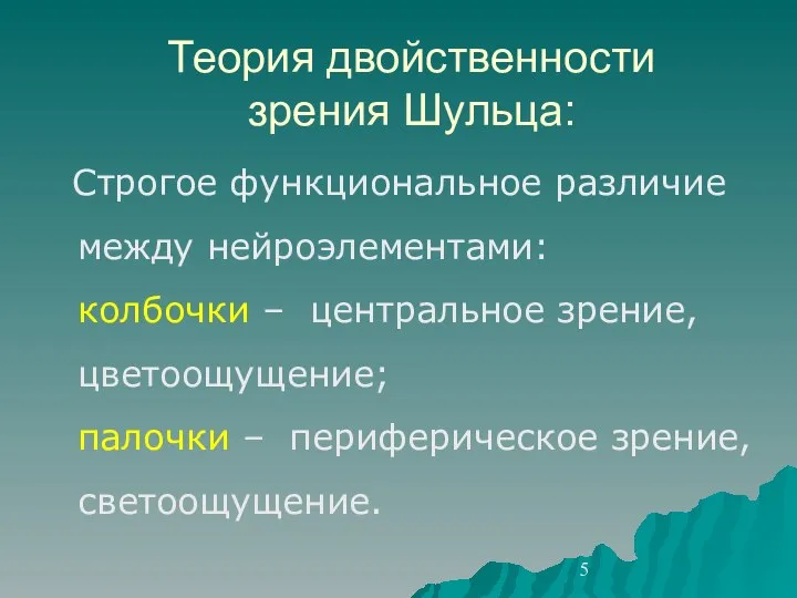 Теория двойственности зрения Шульца: Строгое функциональное различие между нейроэлементами: колбочки –