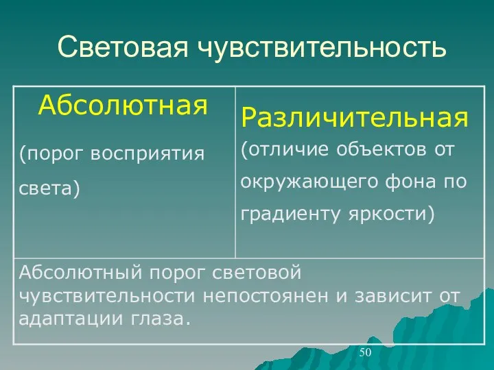 Световая чувствительность