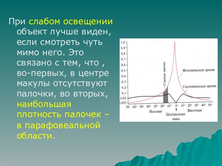 При слабом освещении объект лучше виден, если смотреть чуть мимо него.