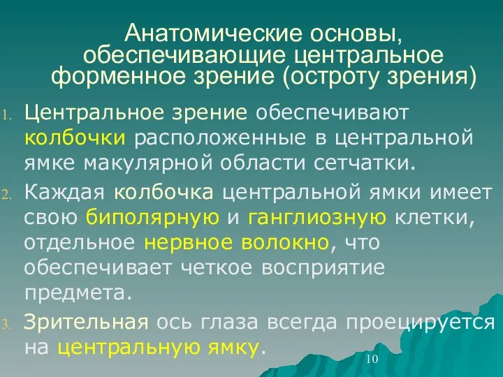 Анатомические основы, обеспечивающие центральное форменное зрение (остроту зрения) Центральное зрение обеспечивают