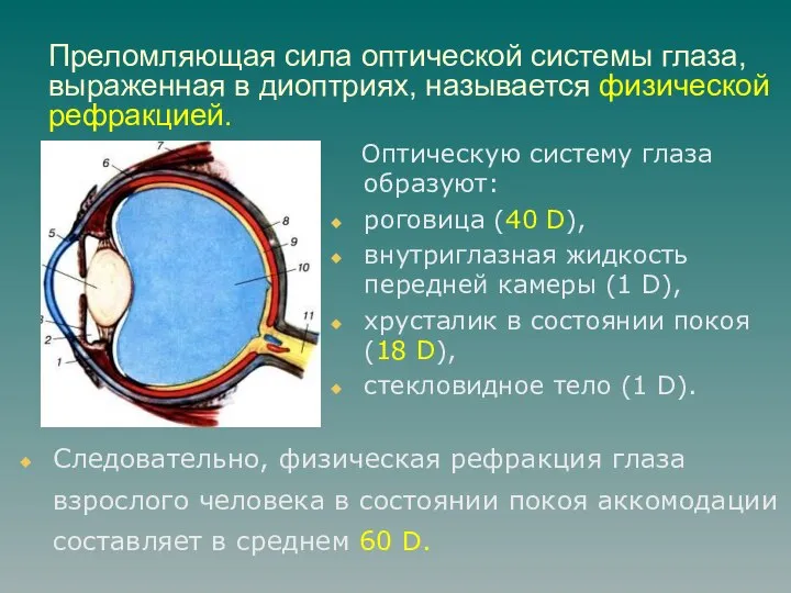 Преломляющая сила оптической системы глаза, выраженная в диоптриях, называется физической рефракцией.