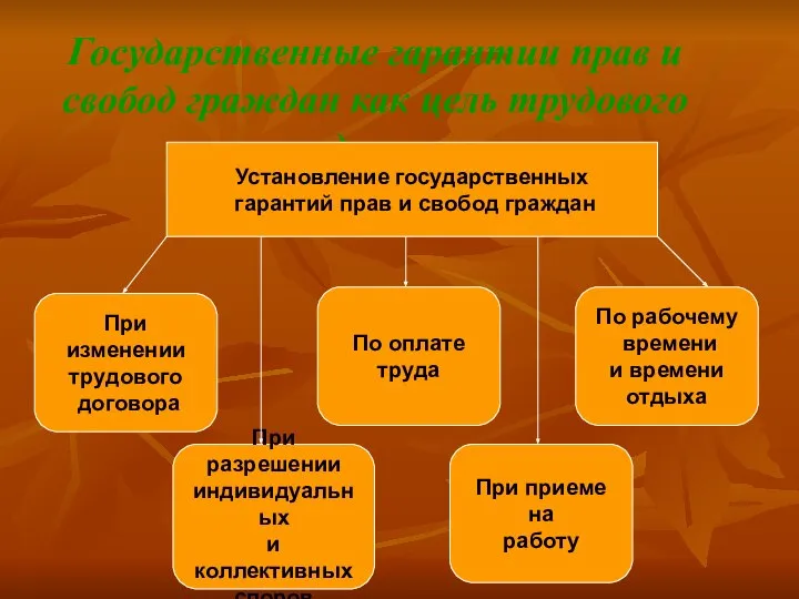 Государственные гарантии прав и свобод граждан как цель трудового законодательства Установление