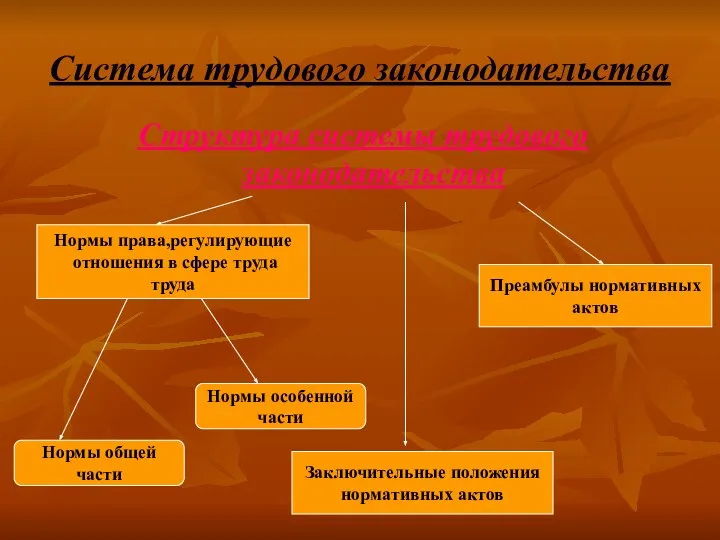 Система трудового законодательства Структура системы трудового законодательства Нормы права,регулирующие отношения в