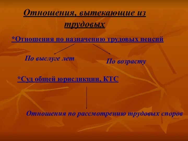 Отношения, вытекающие из трудовых *Отношения по назначению трудовых пенсий По выслуге