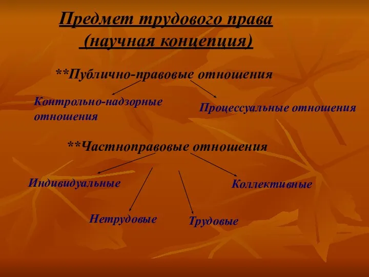 Предмет трудового права (научная концепция) **Публично-правовые отношения Контрольно-надзорные отношения Процессуальные отношения